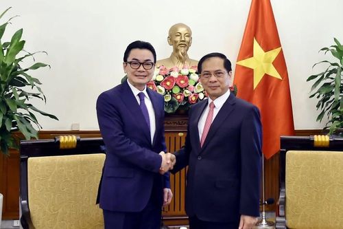 Việt Nam-Campuchia: Thúc đẩy tham khảo chính trị, mở rộng hợp tác thực chất