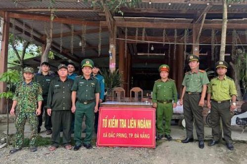 Tăng cường chốt chặn, bảo vệ cây ươi