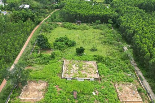 Khám phá Điện thờ mẹ vua Gia Long