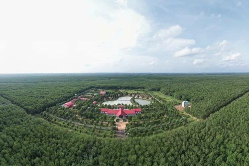 VRG kiến tạo hệ sinh thái đa ngành, nâng tầm vị thế ngành Cao su Việt Nam