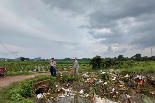 Công an vào cuộc xác minh, xử lý hành vi vứt xác động vật ra môi trường ở Thanh Hóa