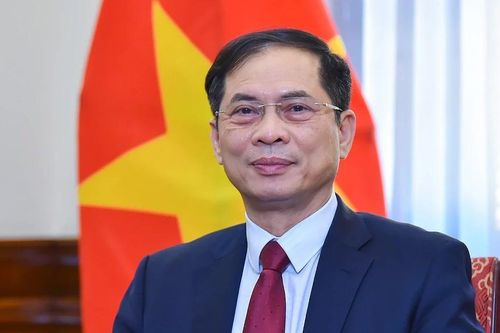 Phó Thủ tướng Bùi Thanh Sơn nhận thêm nhiệm vụ mới