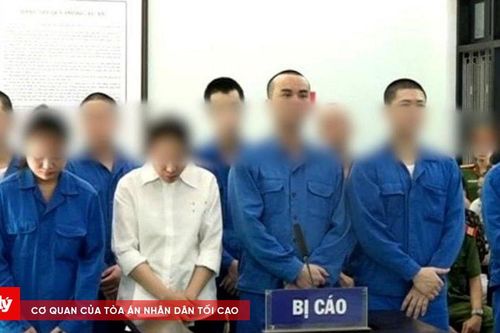 Xét xử đường dây ma túy liên tỉnh