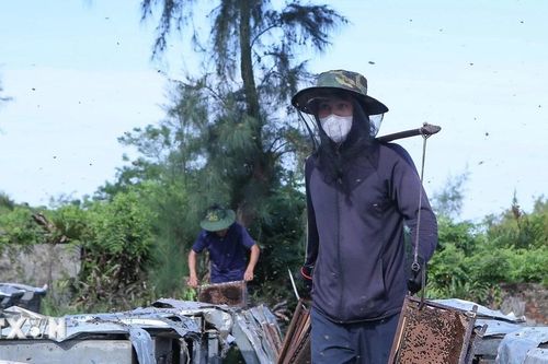 Ninh Bình phát triển thương hiệu mật ong Vườn quốc gia Xuân Thủy