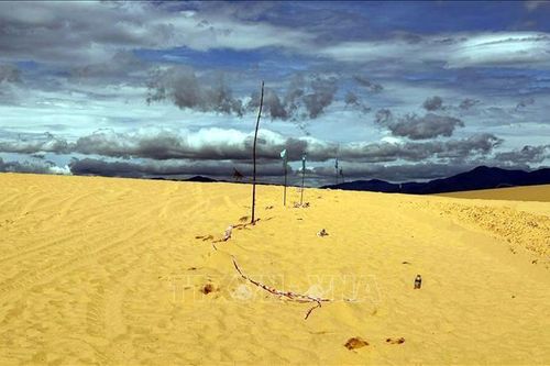 Kiểm tra, xử lý việc dựng hàng rào tại đồi cát Quang Phú (Quảng Trị)