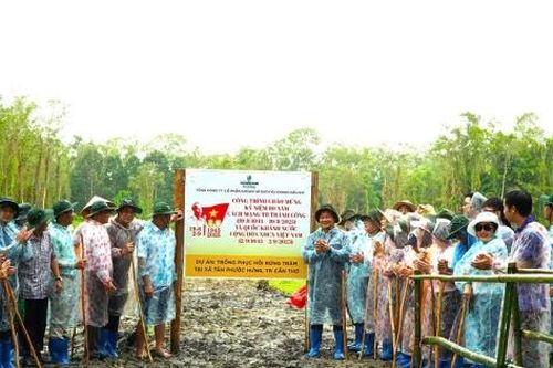 PV Drilling tài trợ 100.000 cây cho dự án trồng phục hồi rừng tràm khu vườn chim