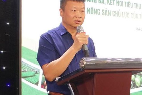Quảng Ninh: Từ mô hình điểm đến chiều sâu chất lượng nông thôn mới