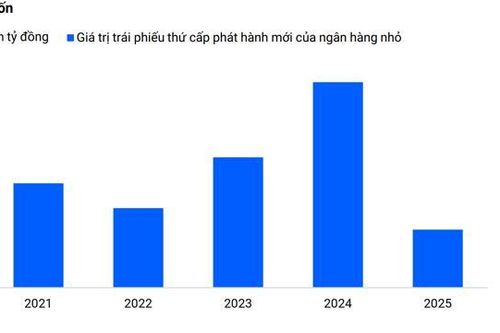 Trái phiếu thứ cấp vẫn là 'phao cứu sinh' cho các ngân hàng nhỏ