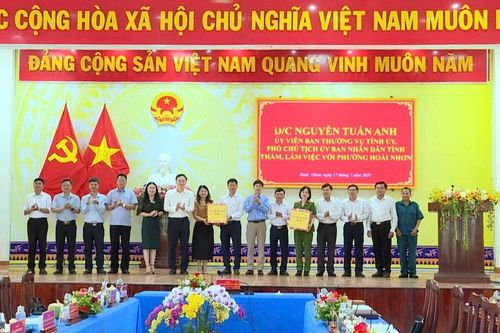 Phó Chủ tịch UBND tỉnh Nguyễn Tuấn Anh làm việc với phường Hoài Nhơn, Hoài Nhơn Nam và các đơn vị quân đội