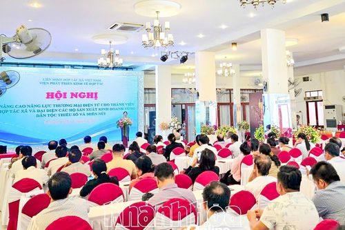 Liên minh Hợp tác xã Khánh Hòa: Tập huấn về nâng cao năng lực thương mại điện tử