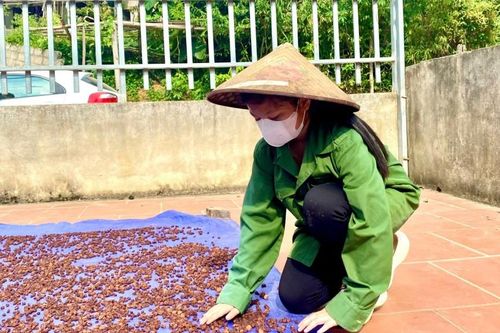 Biến mắc mật thành quả đặc sản