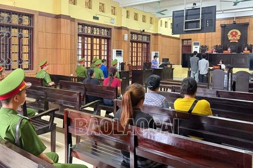 Tòa án nhân dân tỉnh Lào Cai xét xử phúc thẩm công khai 14 vụ án