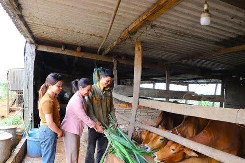 Sát cánh cùng phụ nữ biên giới đất liền vượt khó