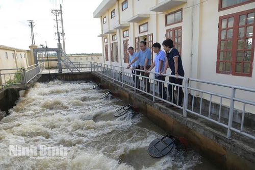 Sẵn sàng vận hành các phương án chống úng, ngập bảo vệ lúa mùa mới gieo cấy