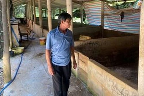 Tập trung xử lý dịch bệnh, nâng cao ý thức người chăn nuôi