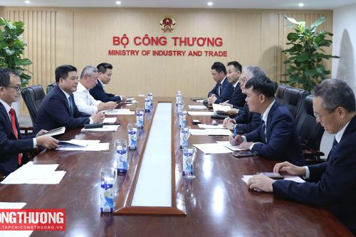 Tạo thuận lợi để Tập đoàn EREX đầu tư nhà máy điện sinh khối tại Việt Nam