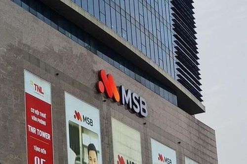 Vishipel không còn là cổ đông của MSB