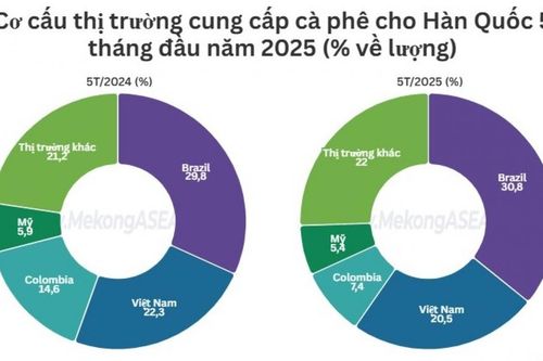 Cà phê Việt xuất sang Hàn Quốc tăng 54% về kim ngạch