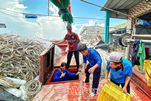 Chủ động phòng ngừa, sẵn sàng ứng phó