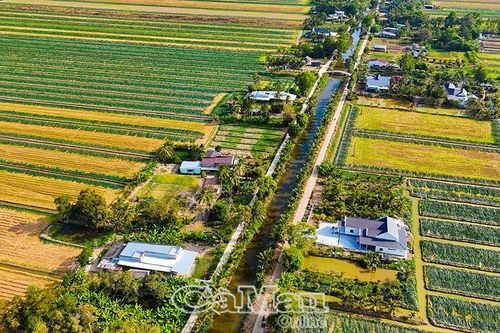Xanh những mùa rau màu, ấm những mái nhà