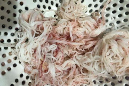 Bún chuyển sang màu đỏ sau vài giờ mua ở chợ Đà Nẵng: Bún chứa nấm men, nấm mốc