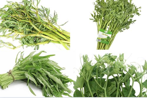 Chuyên gia chỉ ra những loại rau dễ nhiễm kim loại nặng