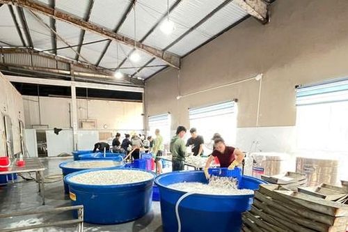 Cận cảnh kho đông lạnh chứa hơn 13 tấn chân gà ngâm hóa chất tẩy trắng