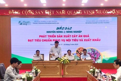 Cả nước trồng hơn 1,3 triệu ha cây ăn quả