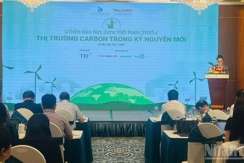 Cơ hội thị trường carbon tại Việt Nam trong kỷ nguyên mới