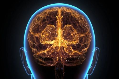 Dấu hiệu cảnh báo cơ thể đang mắc bệnh Alzheimer