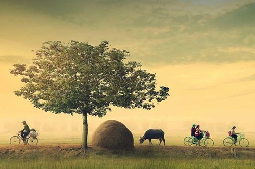 Tản mạn chuyện… thẩm thơ
