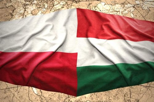 Hungary-Ba Lan căng thẳng ngoại giao, Warsaw quyết liệt hành động