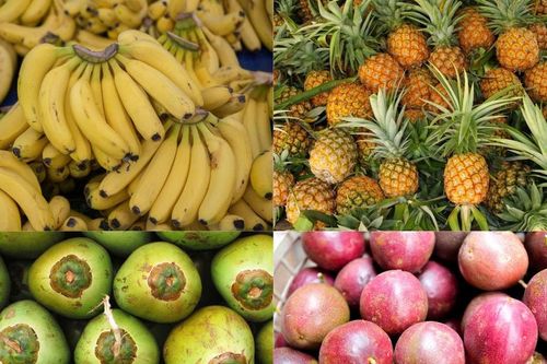 Chuối, dứa, dừa, chanh leo - nhóm cây ăn quả tỷ đô chờ bứt phá