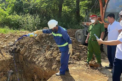 Tiêu hủy hơn 400kg thịt lợn bốc mùi hôi thối