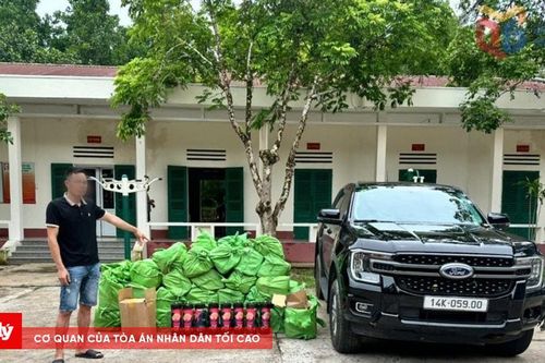Phát hiện, thu giữ gần 600 bình khí cười vận chuyển trái phép qua biên giới
