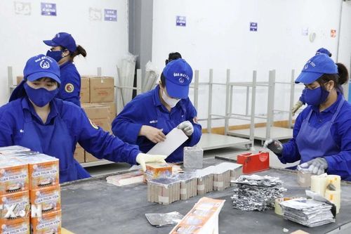 Giả danh công an, lừa đảo mở đại lý kinh doanh pháo hoa độc quyền