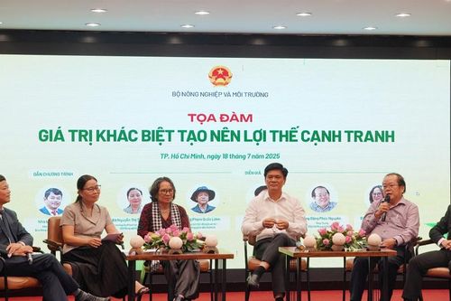 Chuyên gia bàn cách đưa 4 loại quả bình dân thành trái cây tỷ đô
