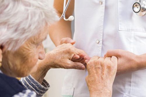 Chó đánh hơi phát hiện Parkinson sớm, độ chính xác tới 98%