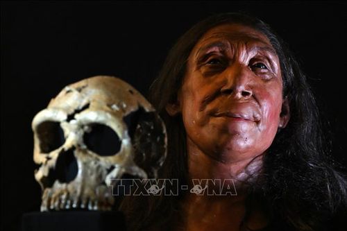Khảo cổ học hé lộ đa dạng kỹ năng sinh tồn của người Neanderthal