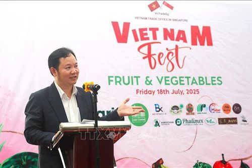 Sức hấp dẫn của trái cây Việt Nam tại Lễ hội trái cây - rau củ ở Singapore