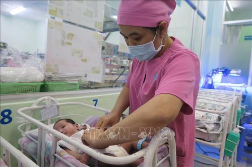Bộ Y tế ban hành tài liệu hướng dẫn quốc gia về dịch vụ chăm sóc và điều trị trẻ sơ sinh