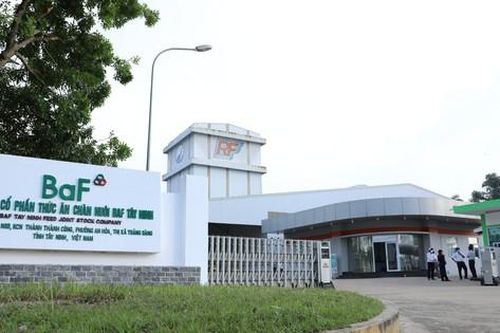 BAF sẽ thế nào khi ngưng hoàn toàn hoạt động kinh doanh nông sản?