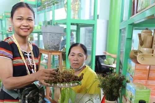Đà Nẵng: Đẩy mạnh xã hội hóa Lễ hội Sâm Ngọc Linh, gắn kết cộng đồng vào phát triển kinh tế