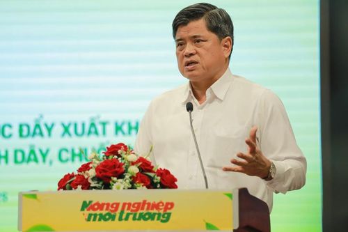 Chanh leo, chuối, dứa, dừa: Nhóm trái cây tỷ USD đang chờ bứt phá