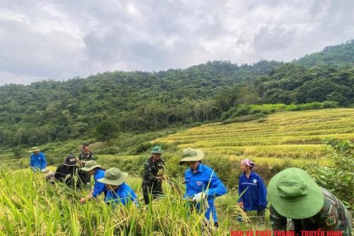 Dấu ấn Đoàn Kinh tế - Quốc phòng 5