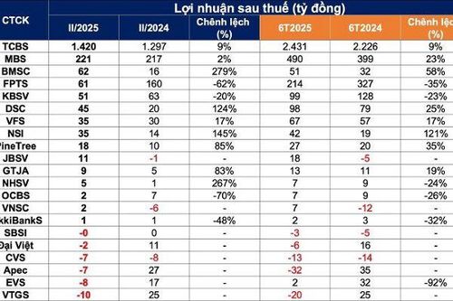 KQKD ngành chứng khoán quý II/2025: Hơn 20 đơn vị đã công bố, FPTS và KB Việt Nam sụt giảm lợi nhuận