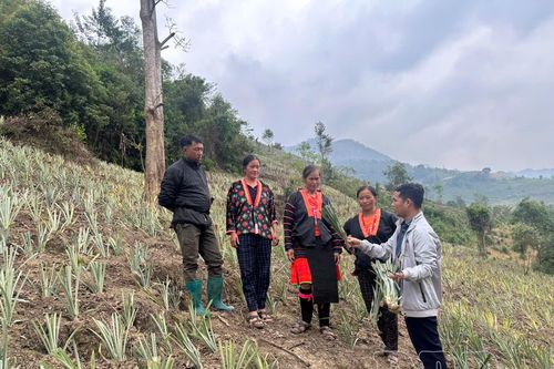 Na Sang đột phá trong phát triển nông nghiệp