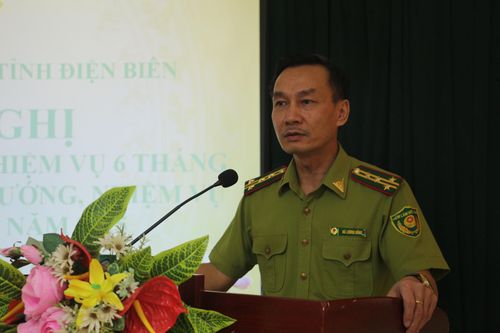 Tỷ lệ che phủ rừng toàn tỉnh đạt 44,69%