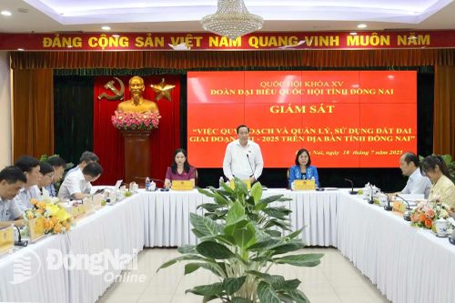 Đoàn Đại biểu Quốc hội tỉnh giám sát công tác quy hoạch, quản lý và sử dụng đất giai đoạn 2021-2025