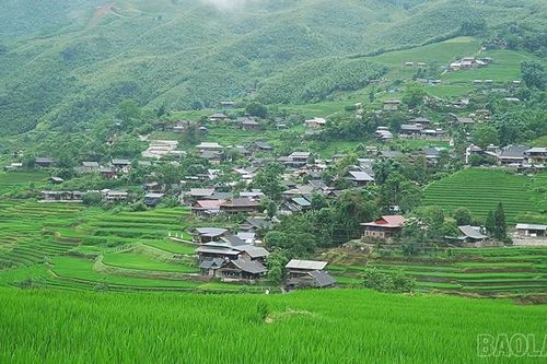 Sức hút Sa Pa mùa lúa xanh